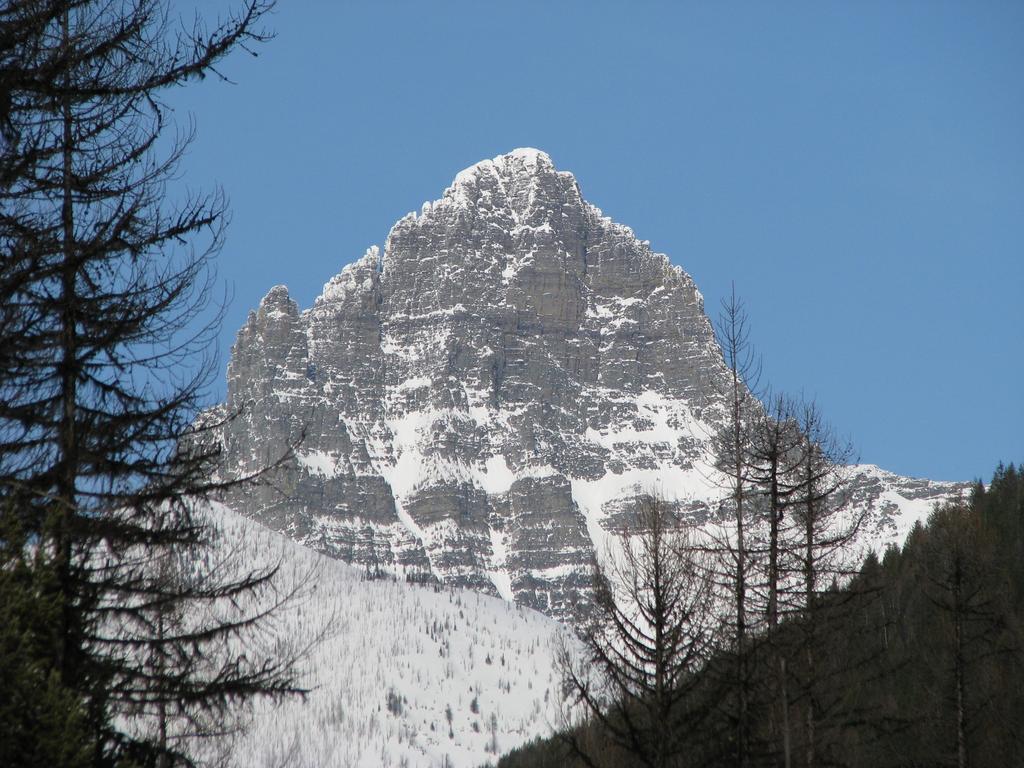 Glacier Haven Inn Pinnacle Екстериор снимка