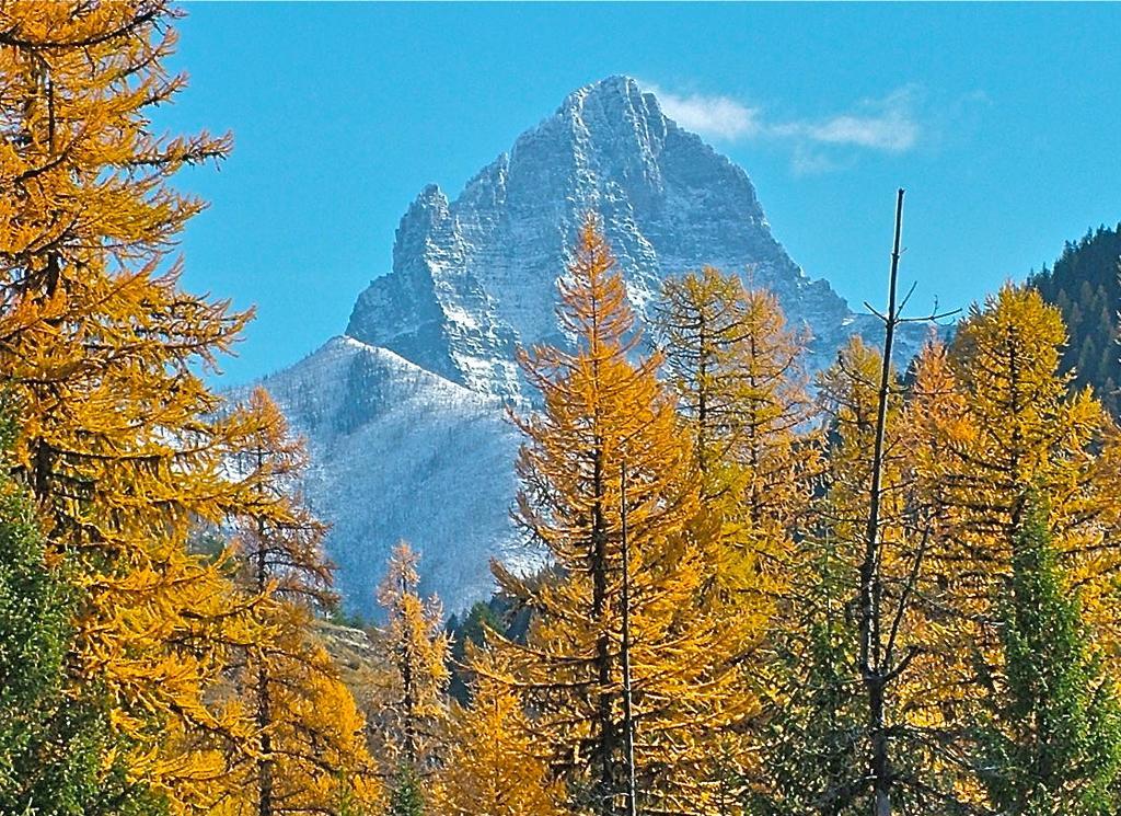 Glacier Haven Inn Pinnacle Екстериор снимка